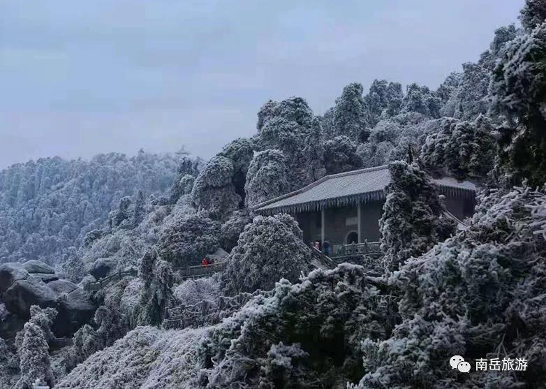 衡山疫情最新动态，变化中的力量与学习带来的自信与成就感