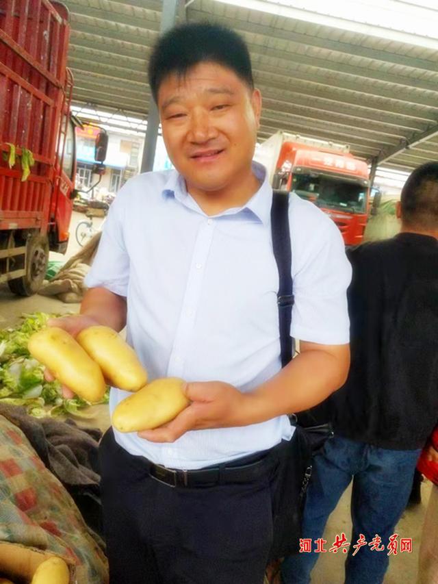 土豆哥最新，美食之旅与创业新风尚的探索