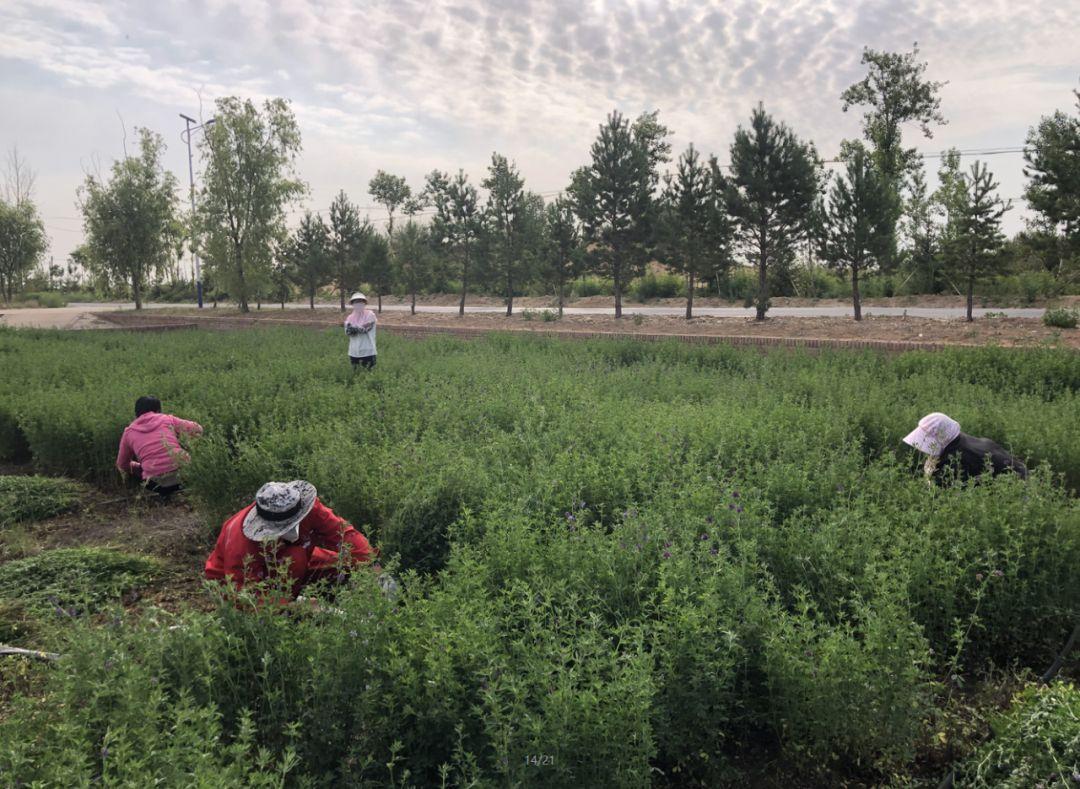 小草论坛最新地址，科技重塑生活革新体验前沿站