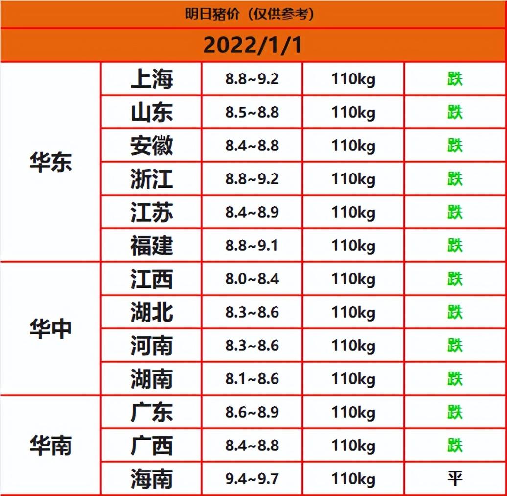 今日猪价专家预测，友情与家庭的温馨故事开启