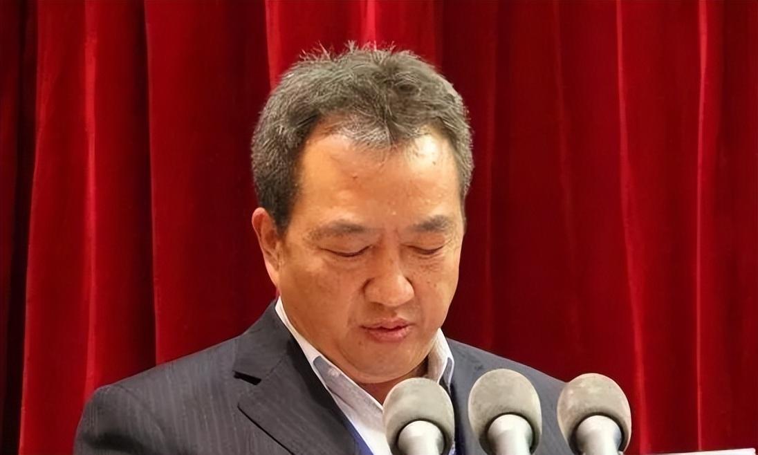 软件开发 第12页